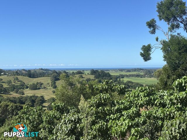 175 Kielys Road MOOBALL NSW 2483
