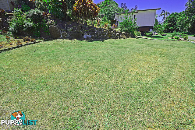 24 Bushland Drive BANORA POINT NSW 2486