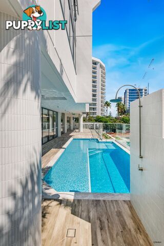 901/10 Coyne Street COOLANGATTA QLD 4225