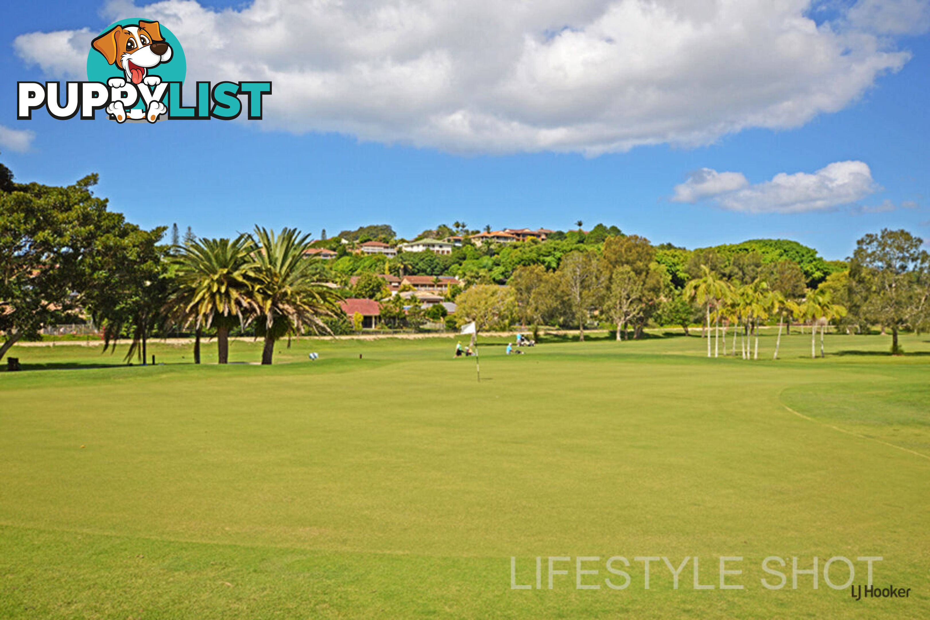 1/53 Covent Gardens Way BANORA POINT NSW 2486