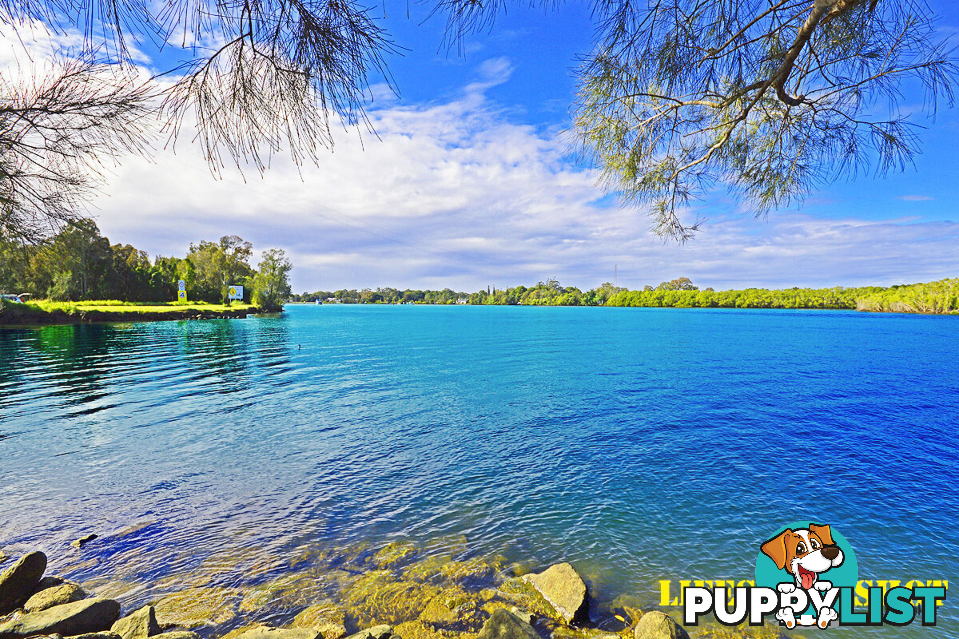 1/53 Covent Gardens Way BANORA POINT NSW 2486