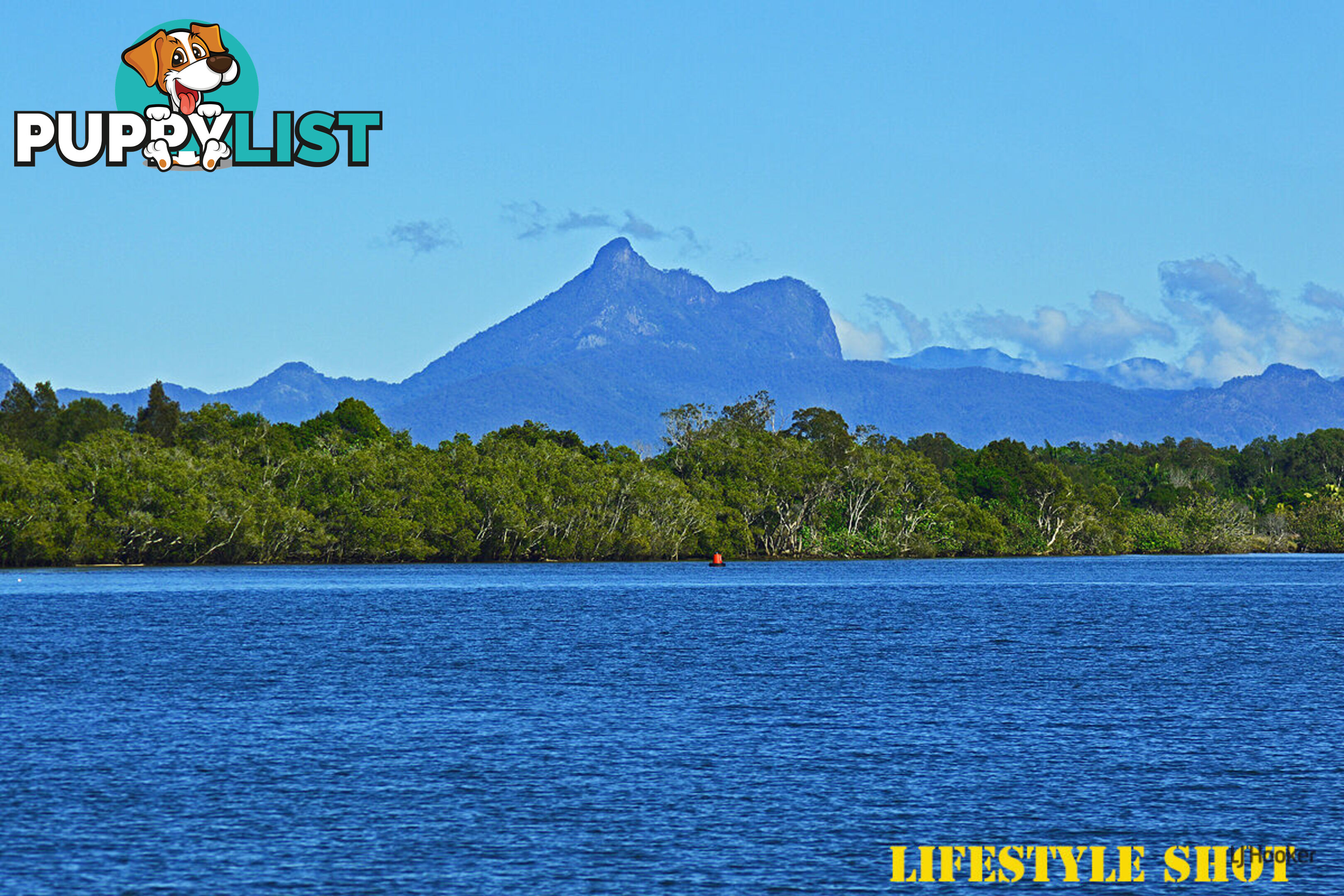 1/53 Covent Gardens Way BANORA POINT NSW 2486