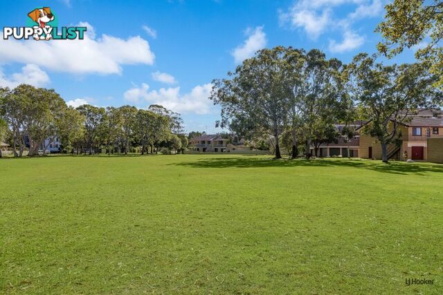 10/8 Buchan Avenue TWEED HEADS NSW 2485
