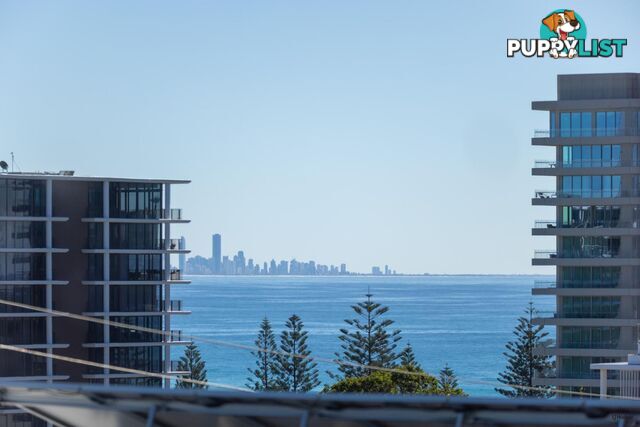 28 Rutledge Street COOLANGATTA QLD 4225