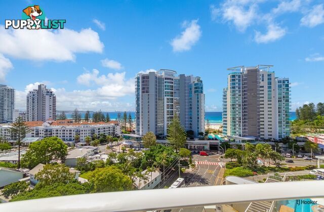 844/6-8 Stuart Street TWEED HEADS NSW 2485