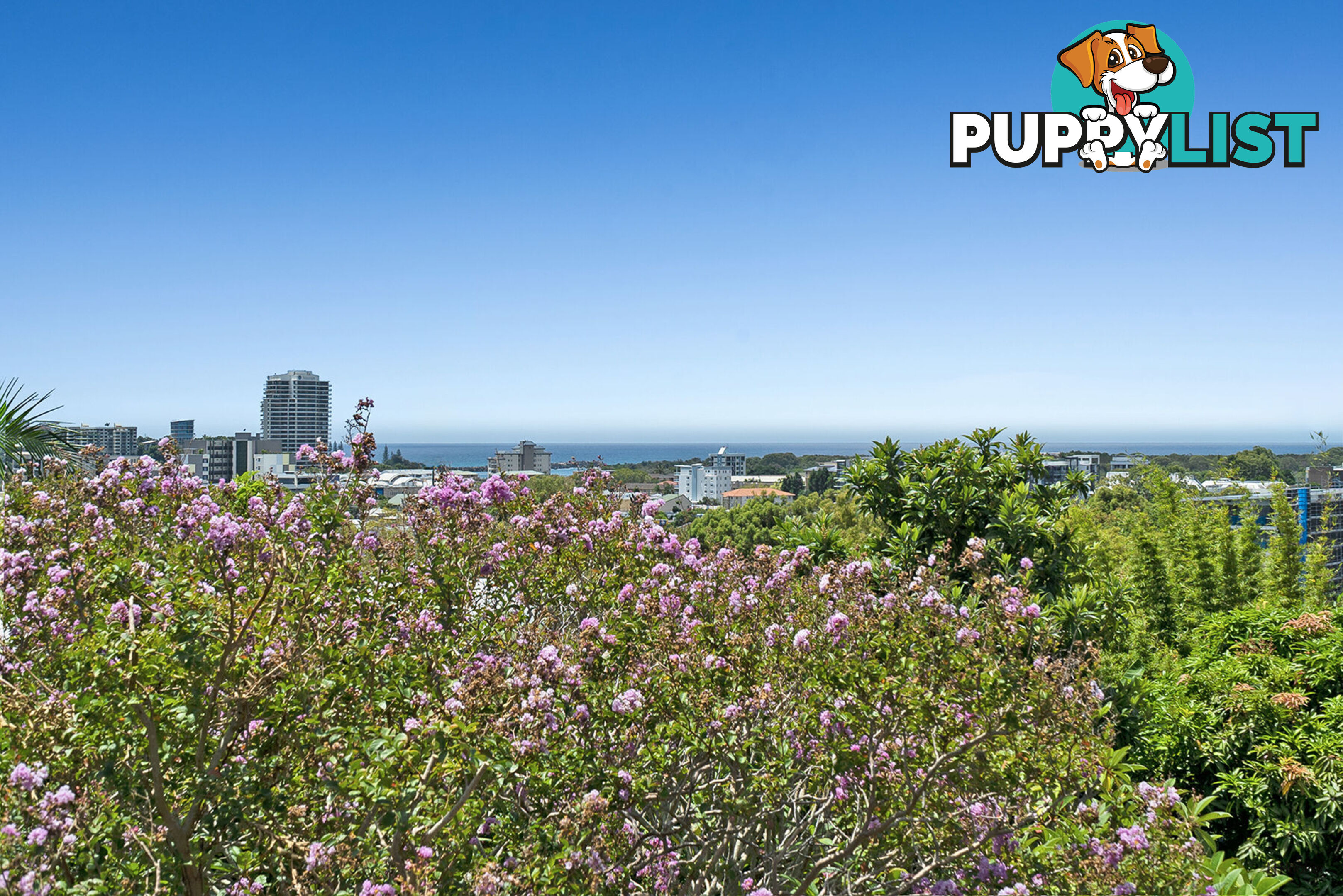 Charles Street TWEED HEADS NSW 2485