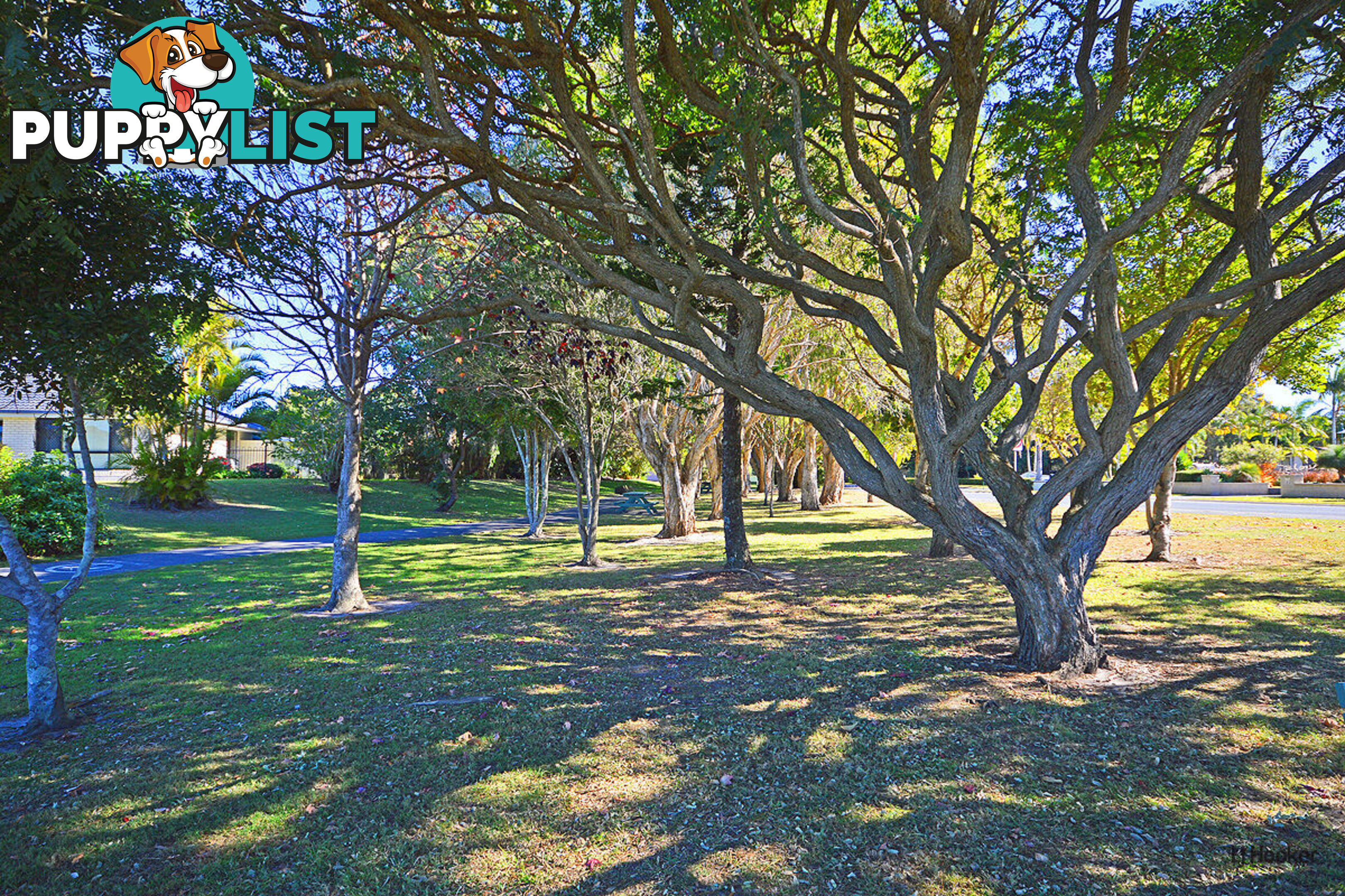 57 Winders Place BANORA POINT NSW 2486