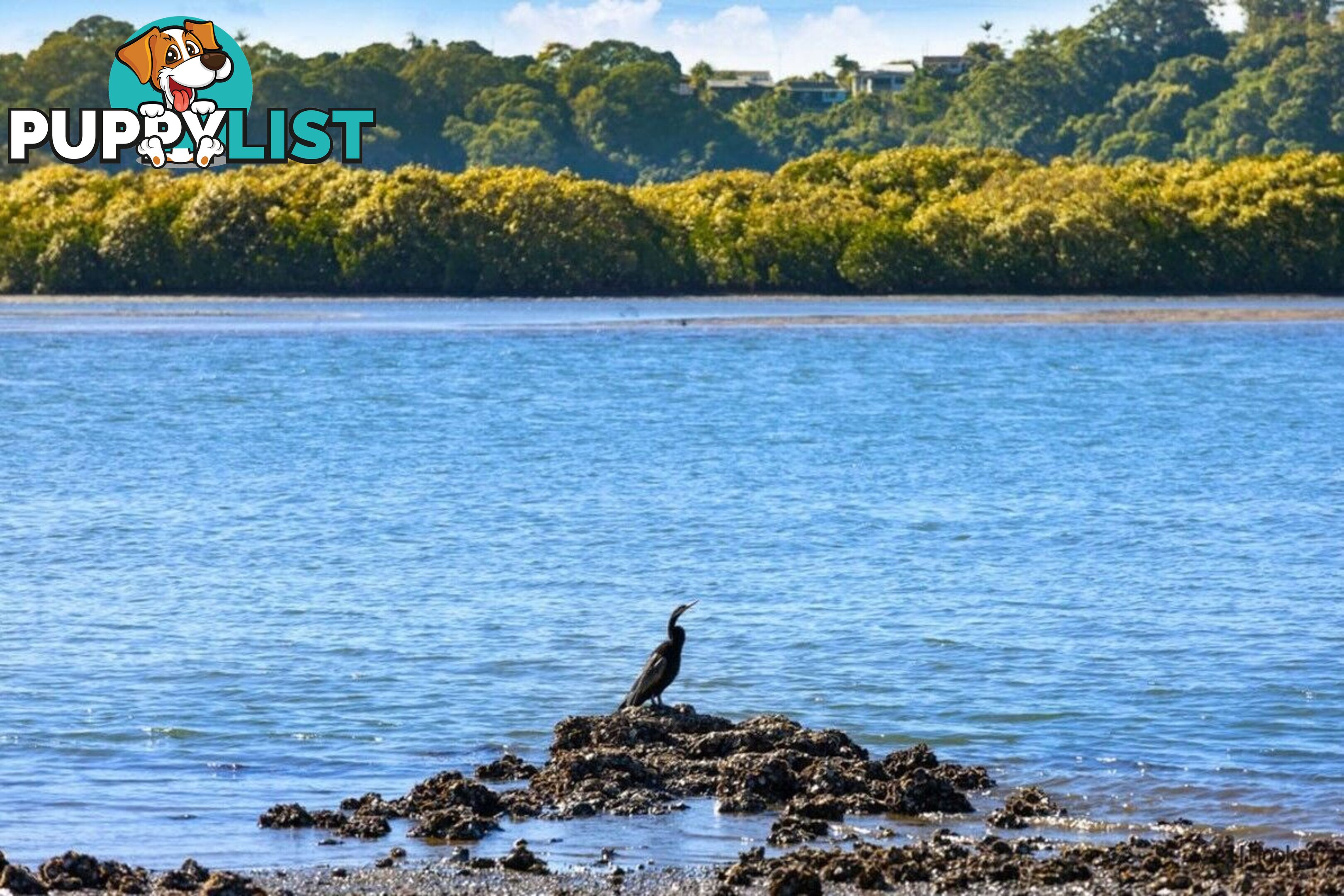 168 Broadwater Esplanade BILAMBIL HEIGHTS NSW 2486