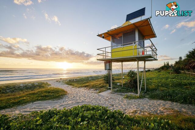 12A Teemangum Street TUGUN QLD 4224