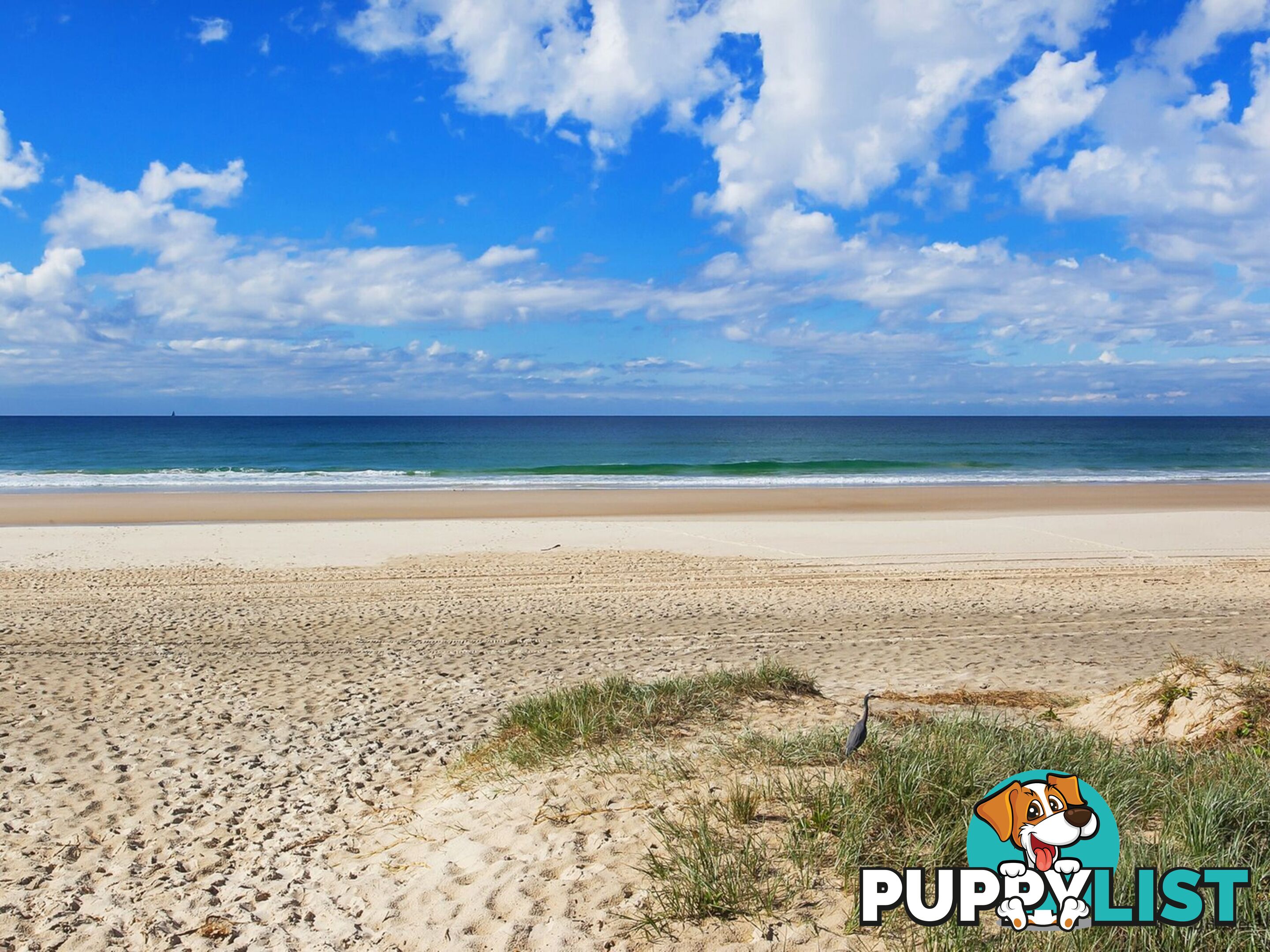12A Teemangum Street TUGUN QLD 4224