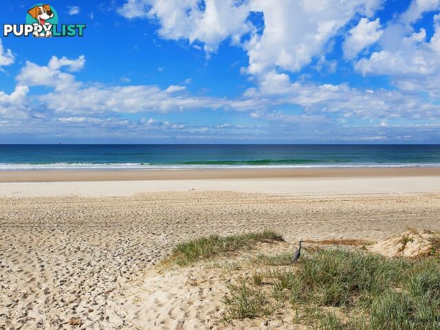 12A Teemangum Street TUGUN QLD 4224