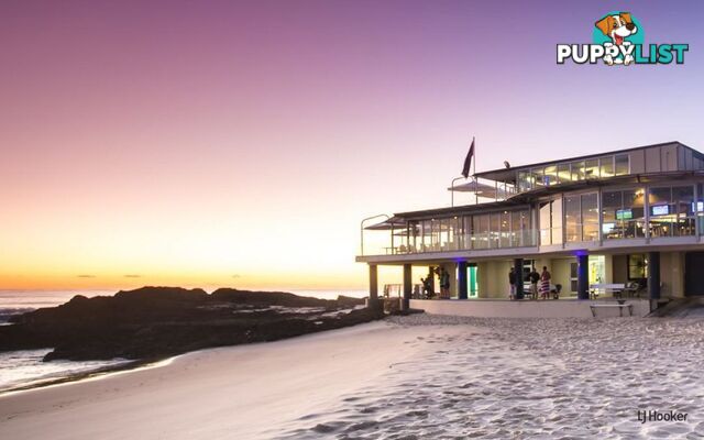 12A Teemangum Street TUGUN QLD 4224
