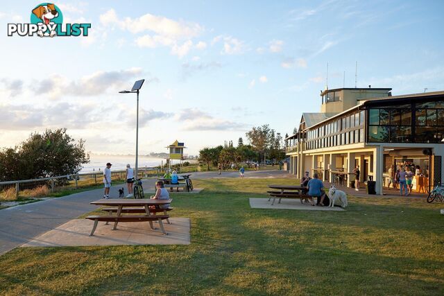 12A Teemangum Street TUGUN QLD 4224