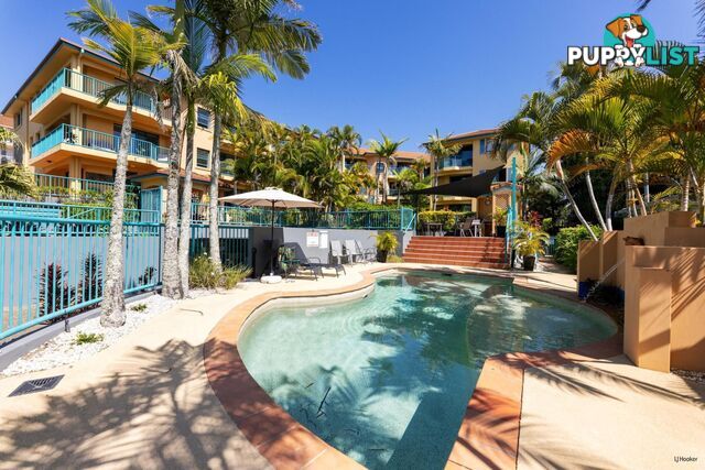 5/27-29 Dutton Street COOLANGATTA QLD 4225