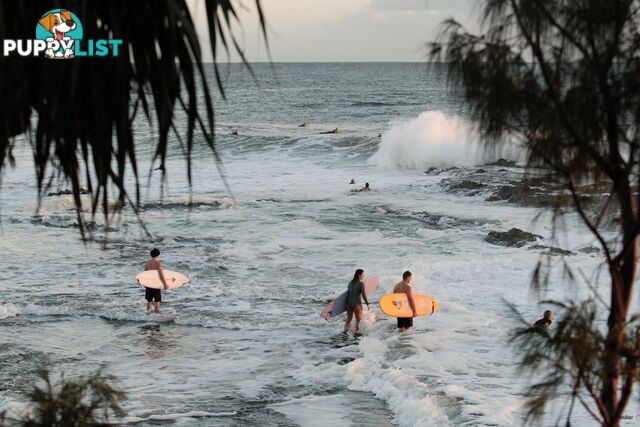 5/27-29 Dutton Street COOLANGATTA QLD 4225