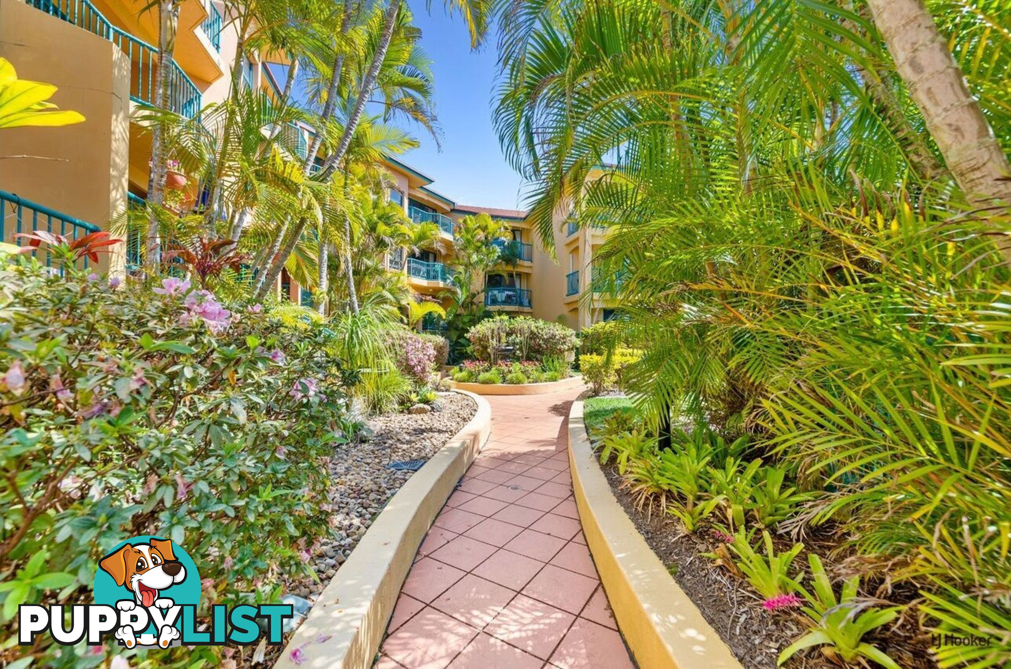 5/27-29 Dutton Street COOLANGATTA QLD 4225