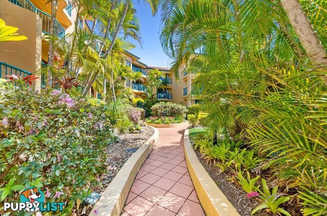 5/27-29 Dutton Street COOLANGATTA QLD 4225