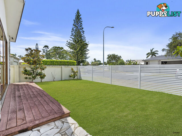 12 Norman Street TWEED HEADS NSW 2485