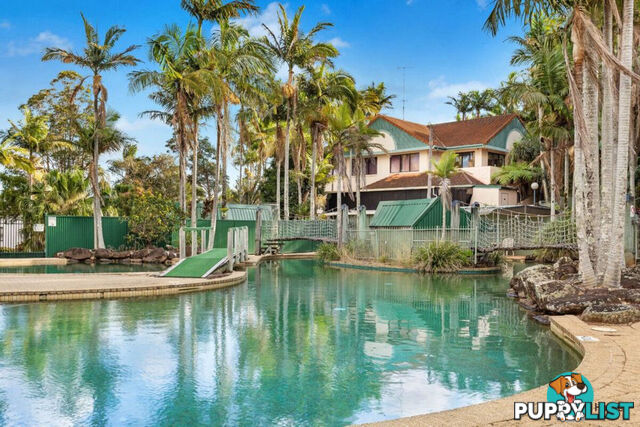 31/61 Marana Street BILAMBIL HEIGHTS NSW 2486
