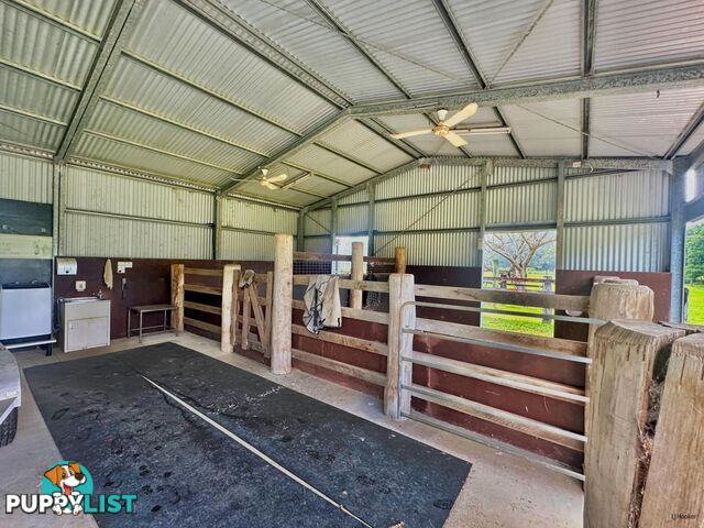 308 Tomewin Road DUNGAY NSW 2484