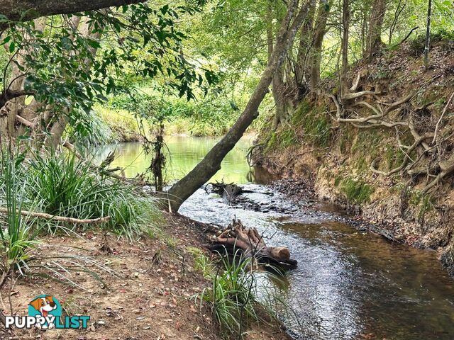 308 Tomewin Road DUNGAY NSW 2484