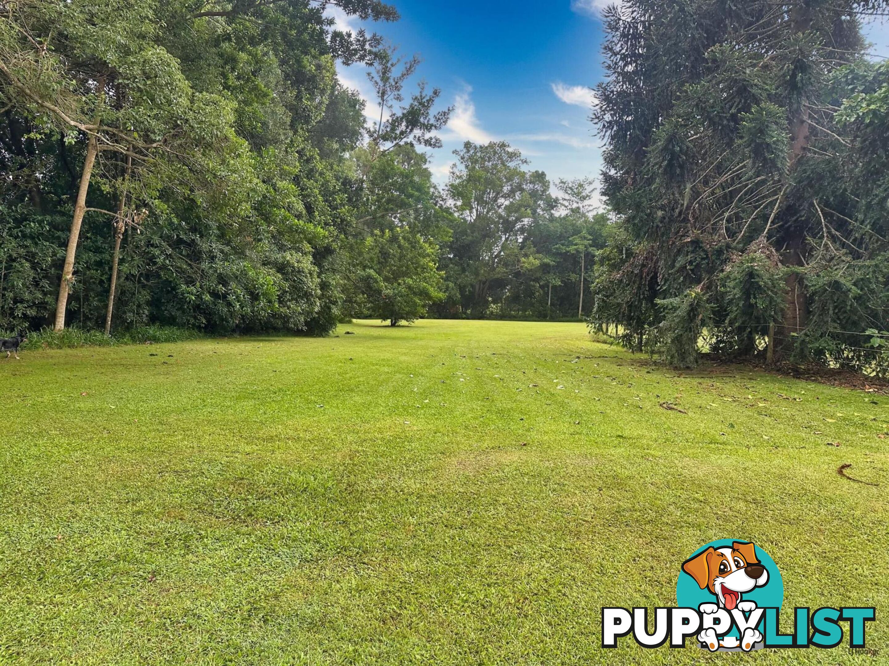 308 Tomewin Road DUNGAY NSW 2484
