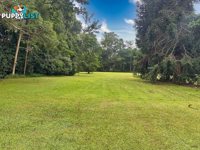 308 Tomewin Road DUNGAY NSW 2484