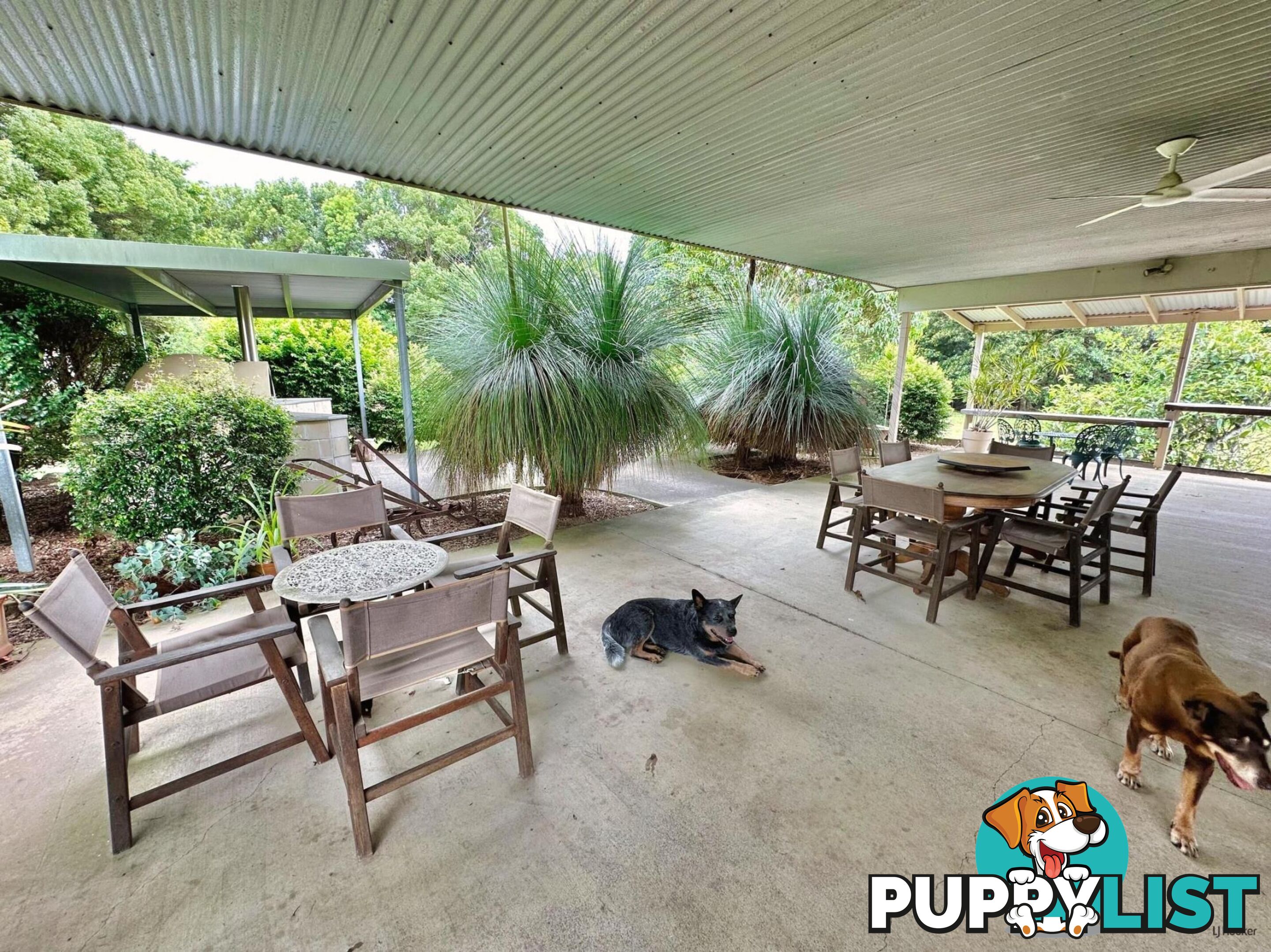 308 Tomewin Road DUNGAY NSW 2484