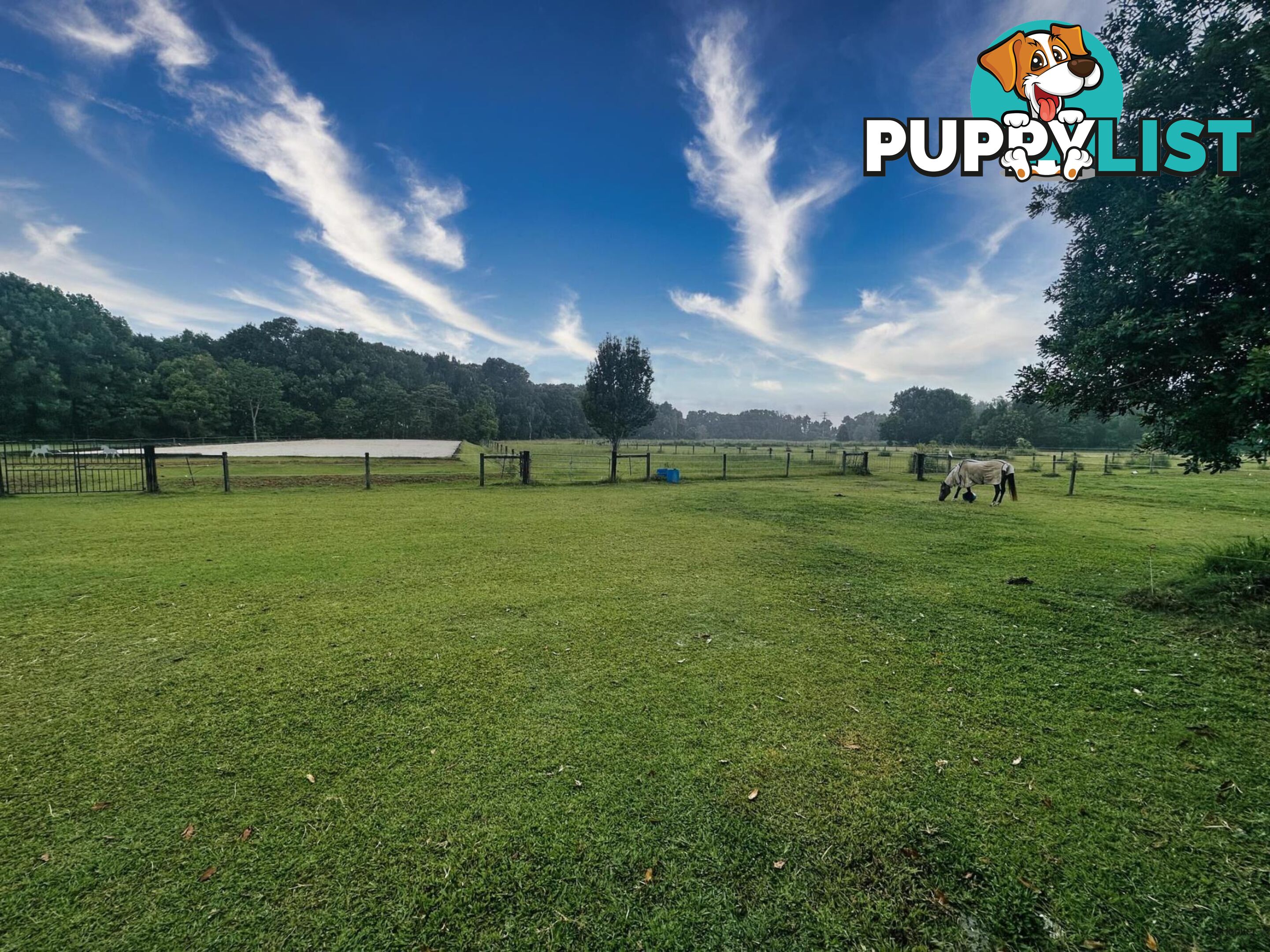 308 Tomewin Road DUNGAY NSW 2484