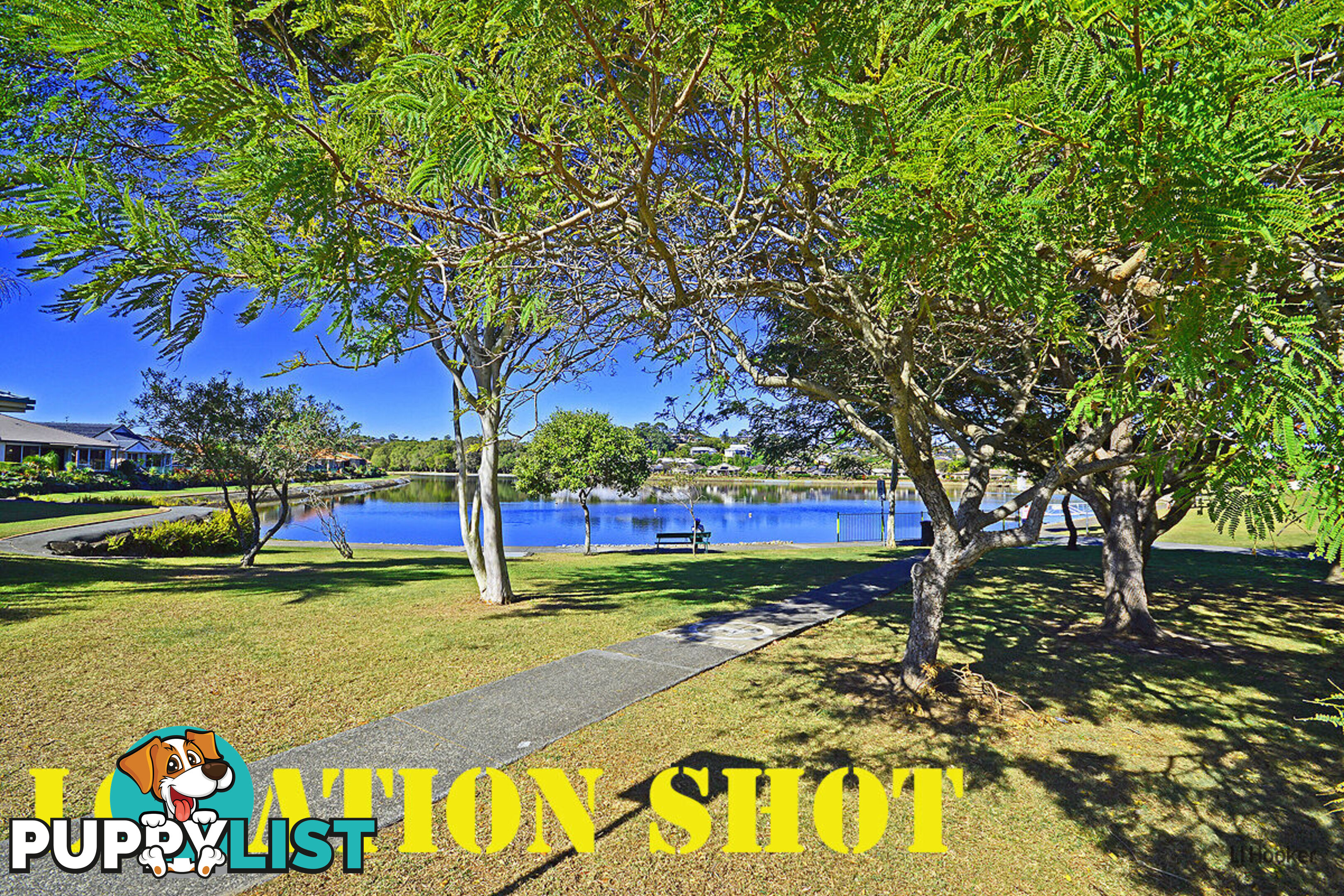 41/67 Winders Place BANORA POINT NSW 2486