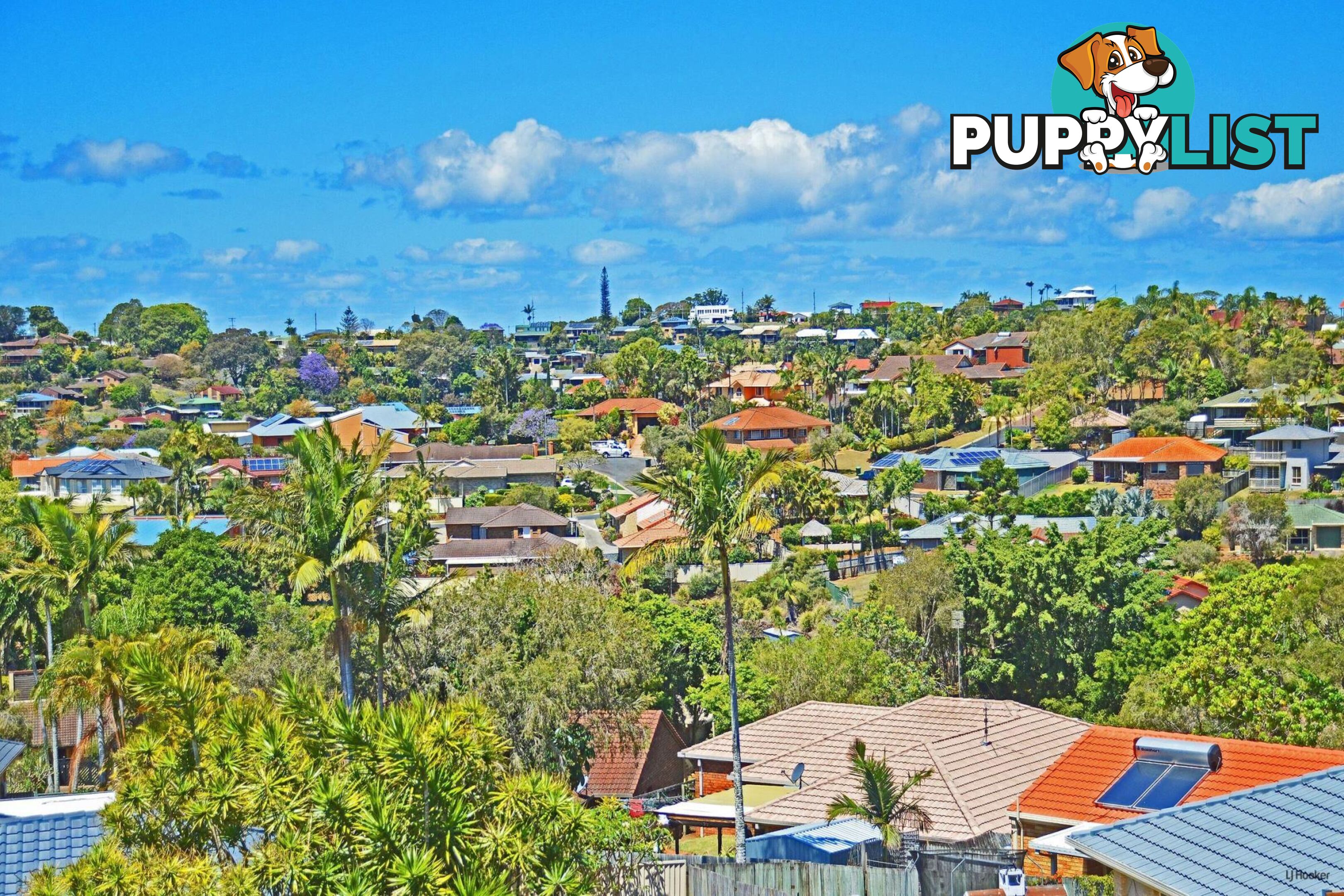 23 Dundee Drive BANORA POINT NSW 2486