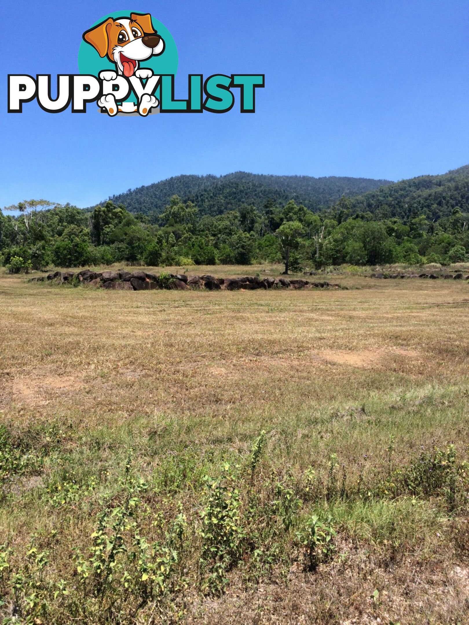 Lot 30 Merryburn Drive Drive Tully QLD 4854