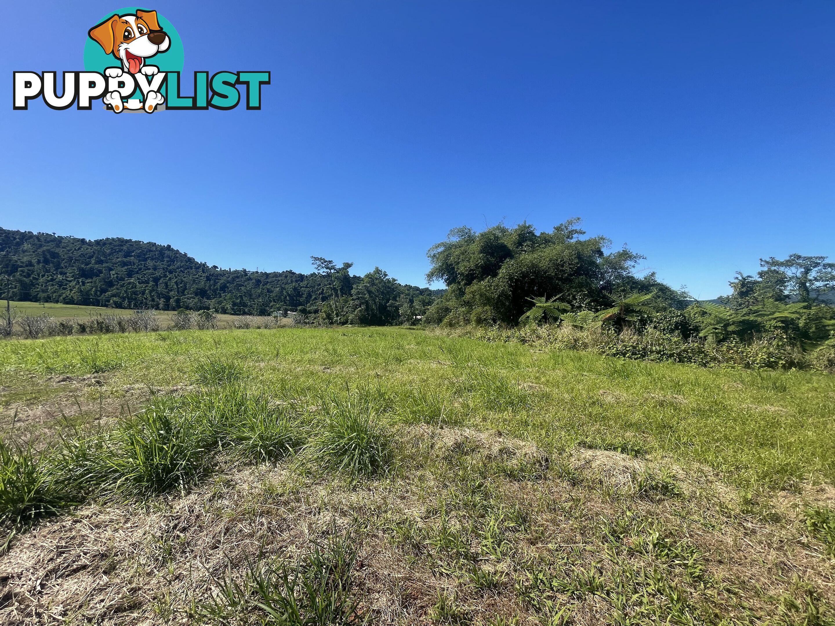 LOT 207 Old Tully Rd Djarawong QLD 4854