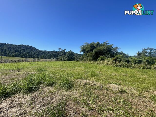 LOT 207 Old Tully Rd Djarawong QLD 4854