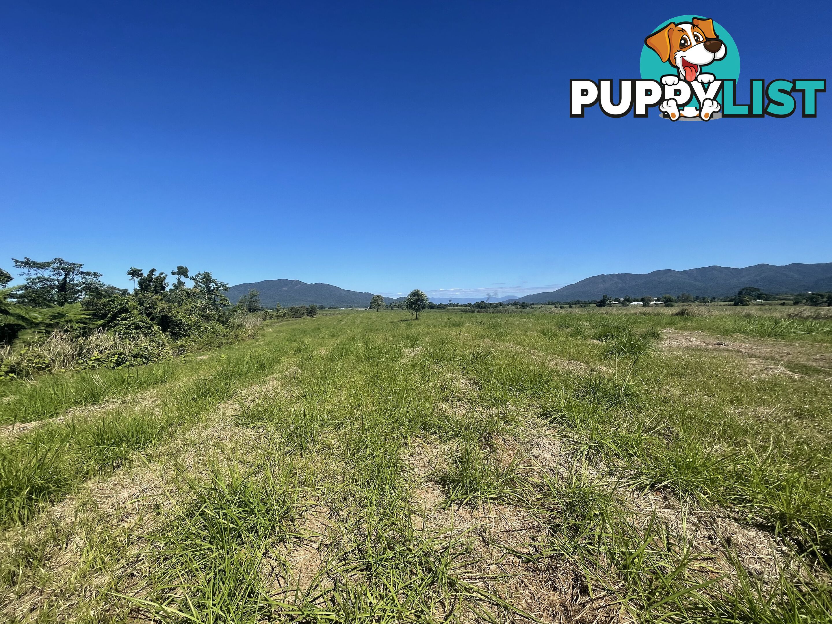 LOT 207 Old Tully Rd Djarawong QLD 4854