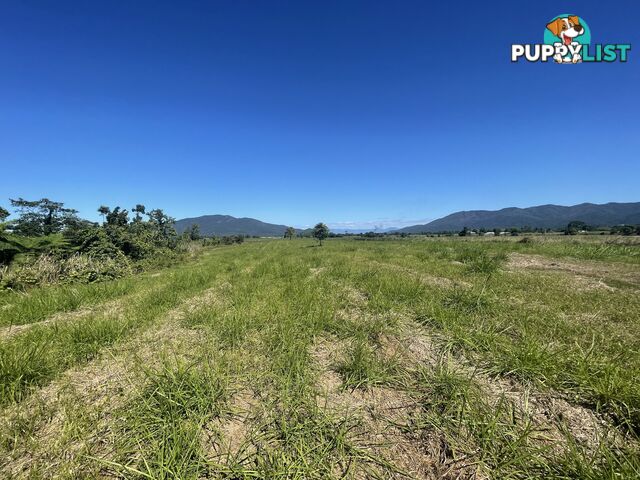 LOT 207 Old Tully Rd Djarawong QLD 4854