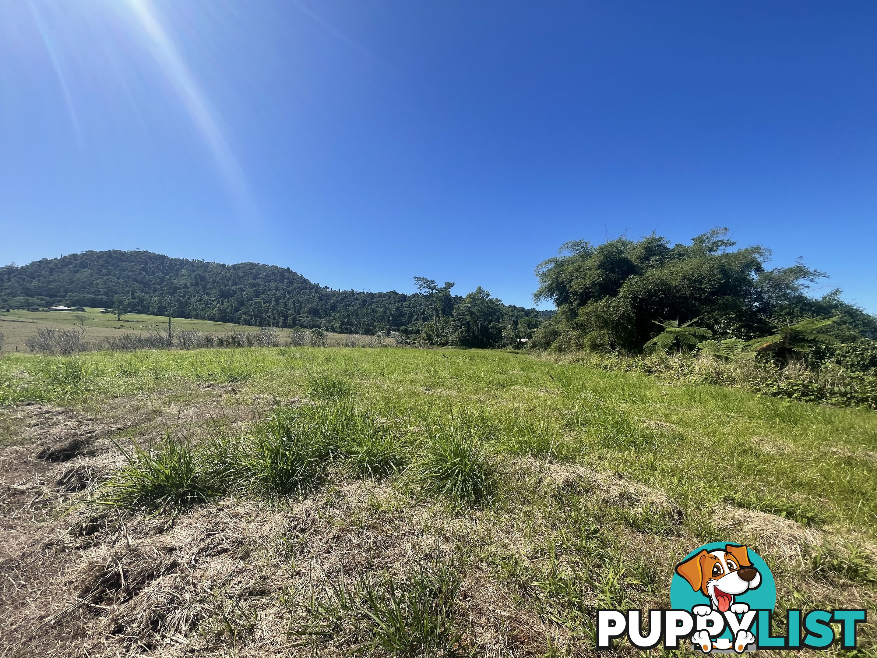 LOT 207 Old Tully Rd Djarawong QLD 4854