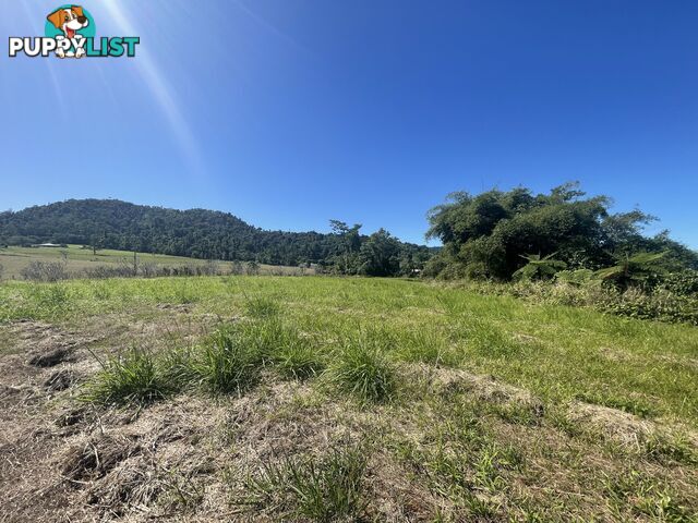 LOT 207 Old Tully Rd Djarawong QLD 4854