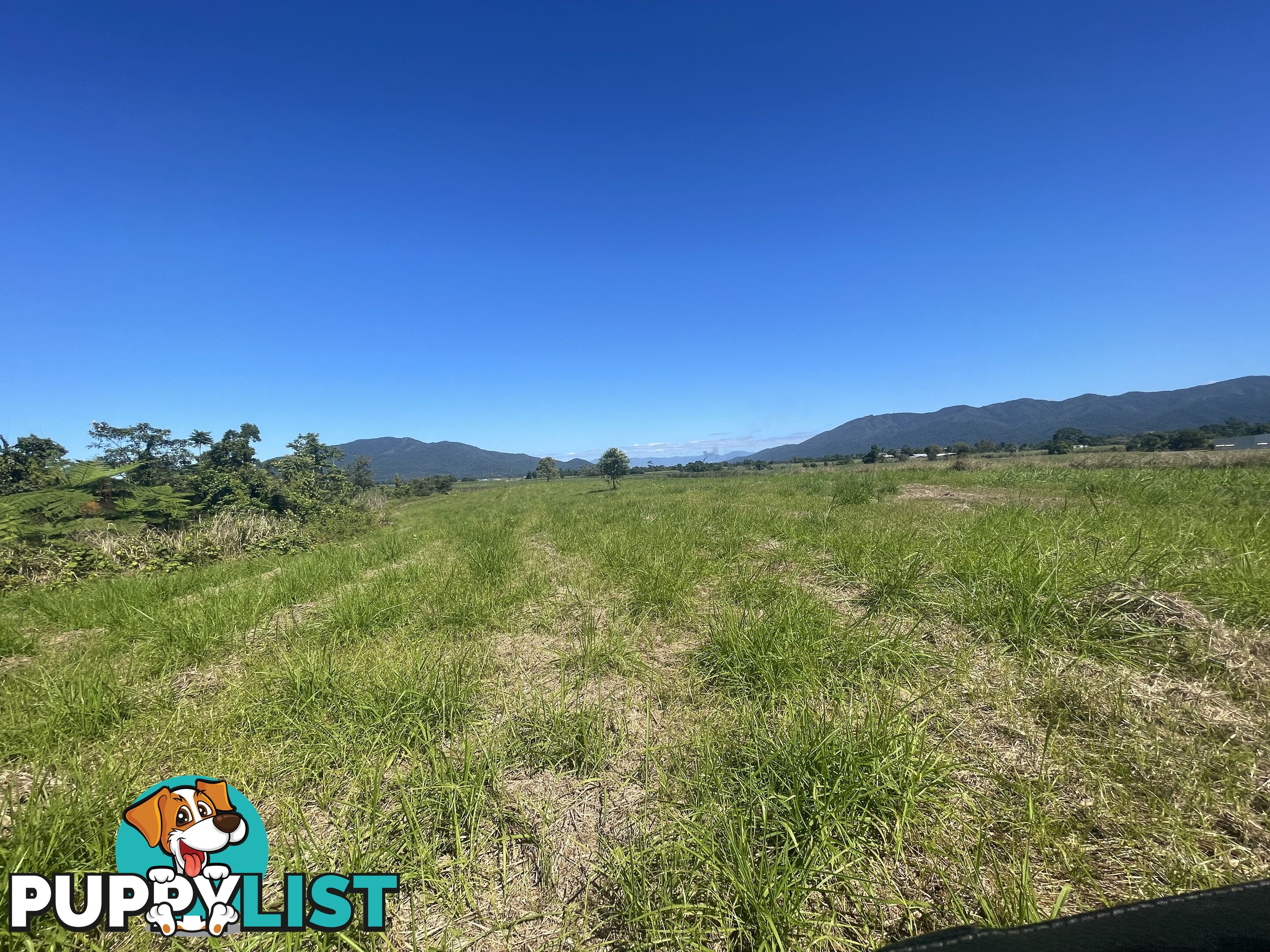 LOT 207 Old Tully Rd Djarawong QLD 4854