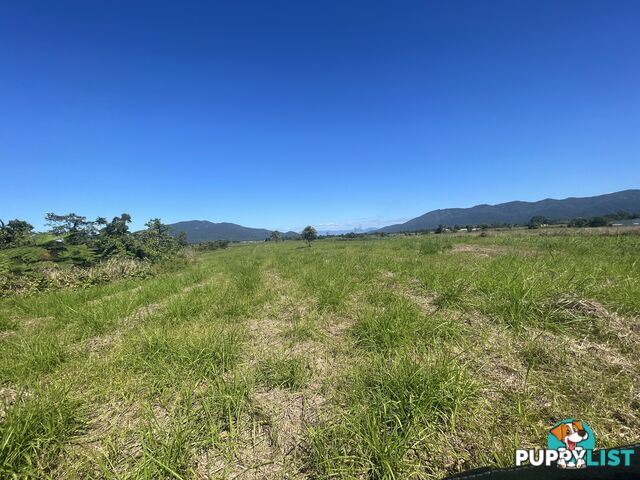 LOT 207 Old Tully Rd Djarawong QLD 4854