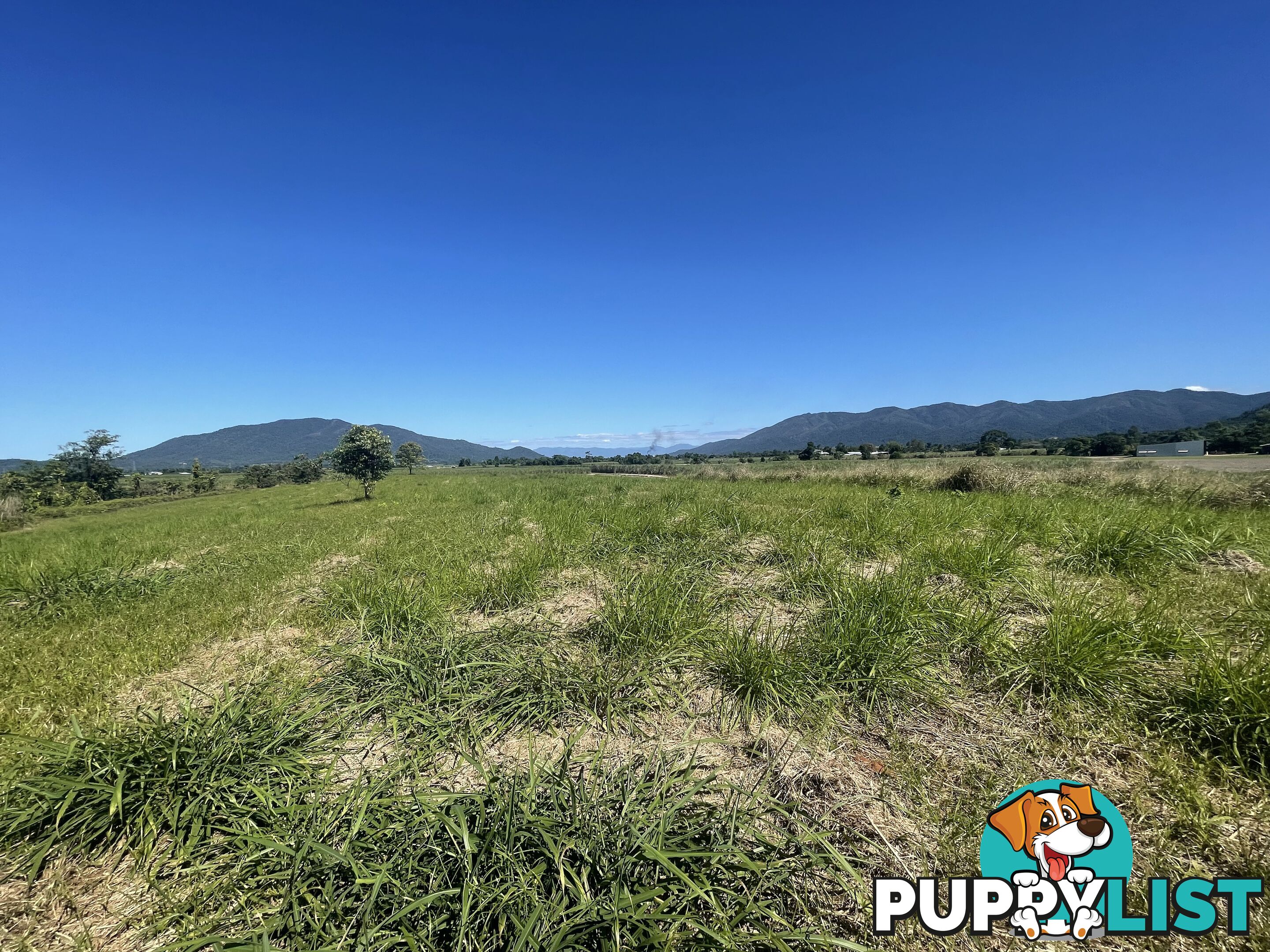 LOT 207 Old Tully Rd Djarawong QLD 4854