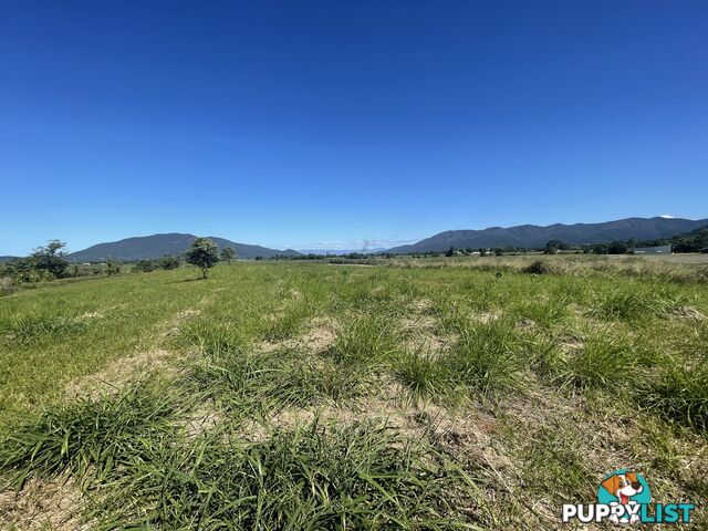 LOT 207 Old Tully Rd Djarawong QLD 4854