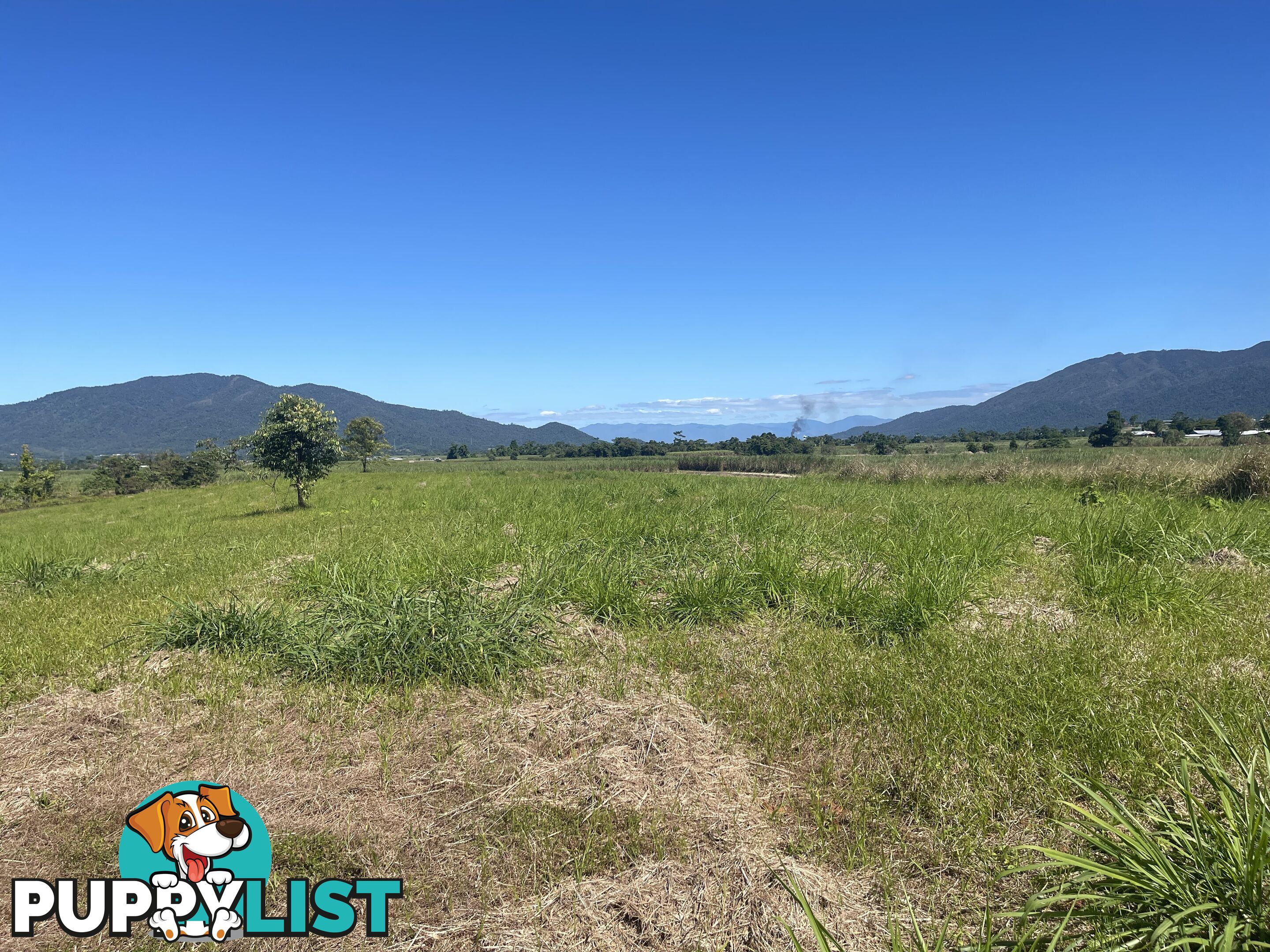 LOT 207 Old Tully Rd Djarawong QLD 4854