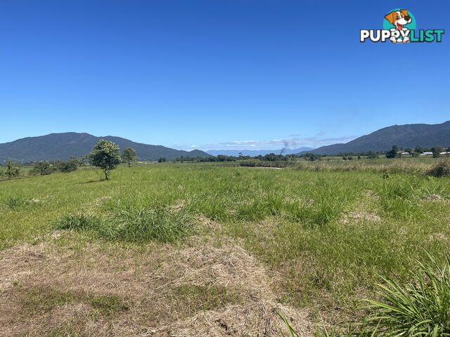 LOT 207 Old Tully Rd Djarawong QLD 4854