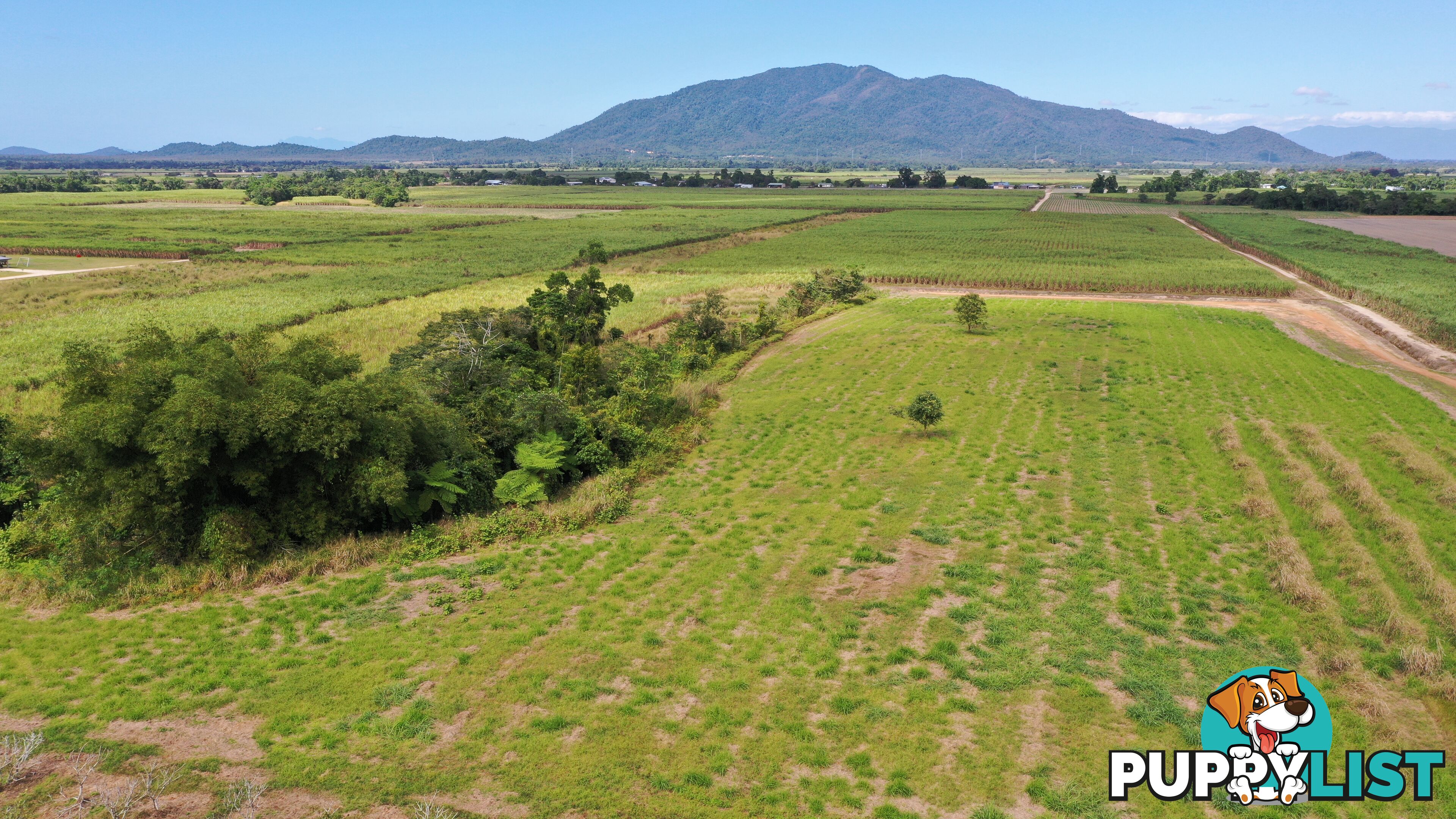 LOT 207 Old Tully Rd Djarawong QLD 4854