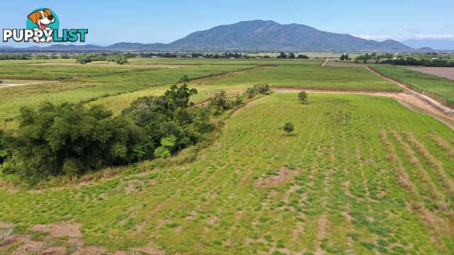 LOT 207 Old Tully Rd Djarawong QLD 4854