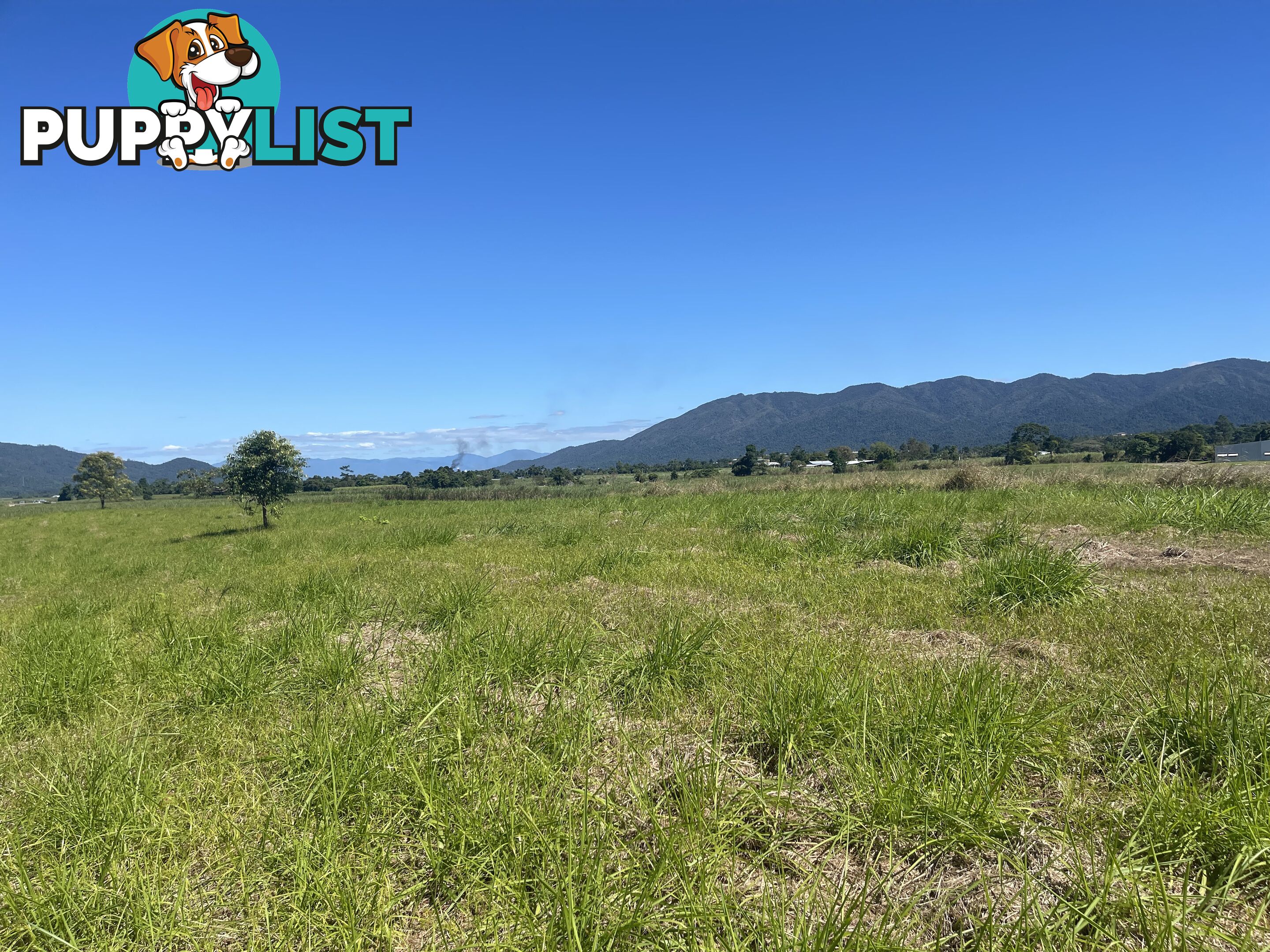 LOT 207 Old Tully Rd Djarawong QLD 4854