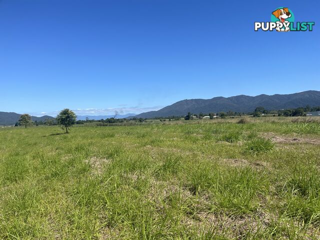 LOT 207 Old Tully Rd Djarawong QLD 4854