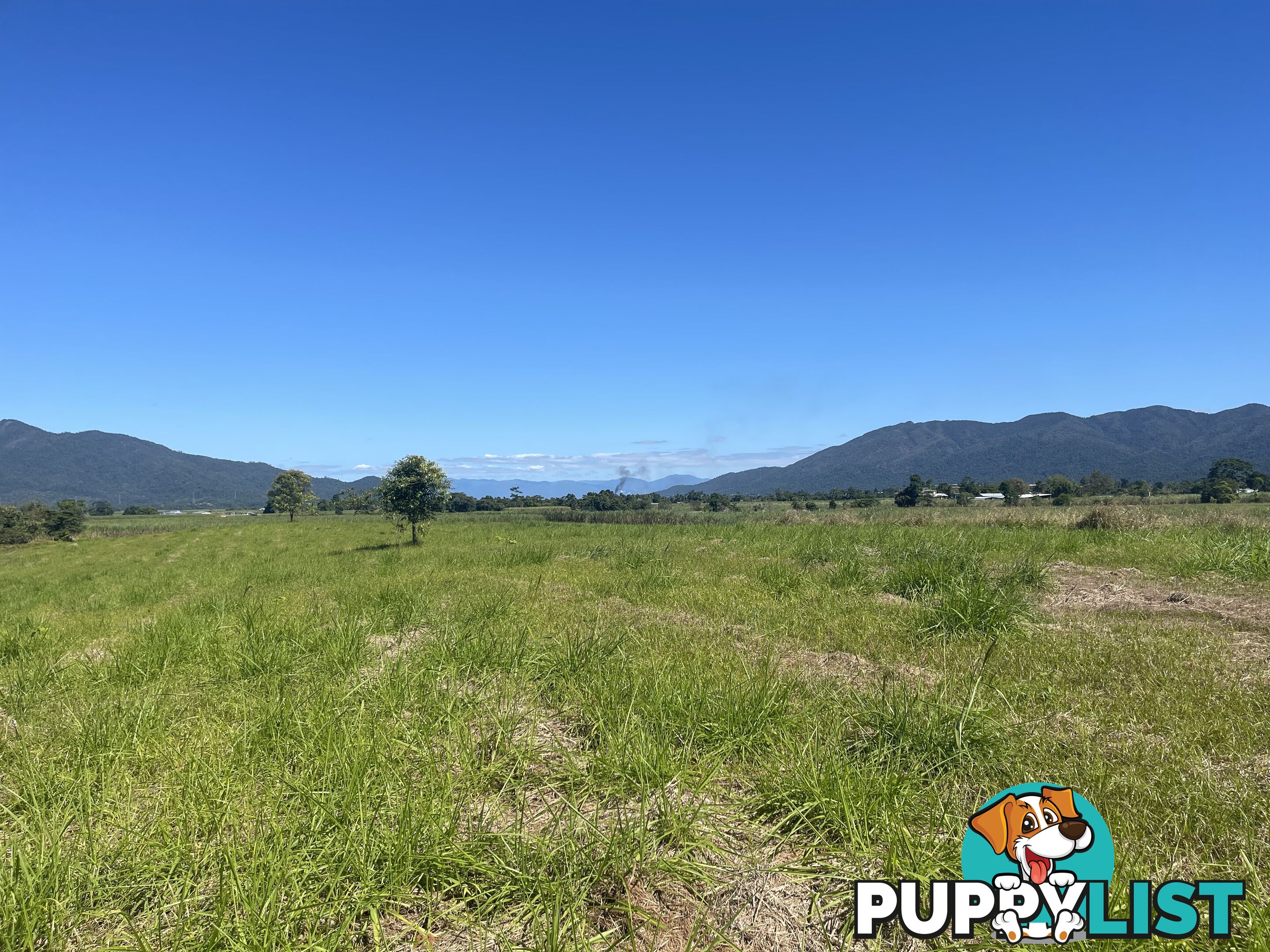 LOT 207 Old Tully Rd Djarawong QLD 4854