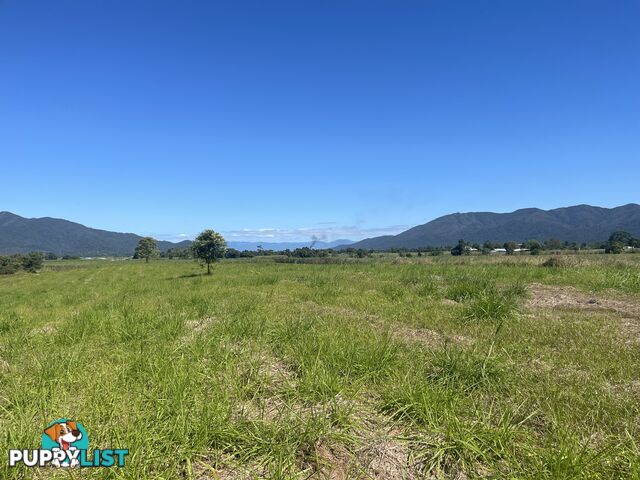 LOT 207 Old Tully Rd Djarawong QLD 4854